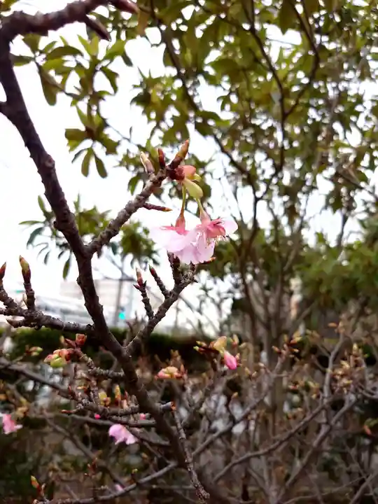 皇大神宮(烏森神社)(神奈川県)
