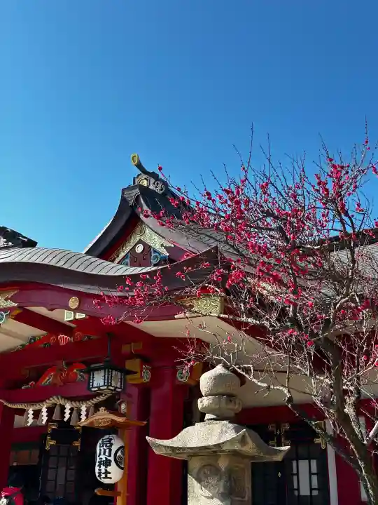 品川神社の{uncategorized: "未分類", other: "その他", undefined: "問題あり", building: "その他建物", grave: "お墓", sacred_gate: "鳥居", guardian: "狛犬", statue: "像", buddha: "仏像", history: "歴史", nature: "自然", garden: "庭園", animal: "動物", pagoda: "塔", temizu: "手水舎", mountain_gate: "山門・神門", sanctuary: "本殿・本堂", subordinate: "末社・摂社", art: "芸術", scenery: "景色", jizo: "地蔵", ema: "絵馬", goshuin: "御朱印", omikuji: "おみくじ", items: "授与品その他", amulet: "お守り", goshuincho: "御朱印帳", eats: "食事", festival: "お祭り", votive_dance: "神楽", shichigosan: "七五三参", wedding: "結婚式", experience: "体験その他", initially: "初詣", around: "周辺", anti_infection: "感染症対策"}