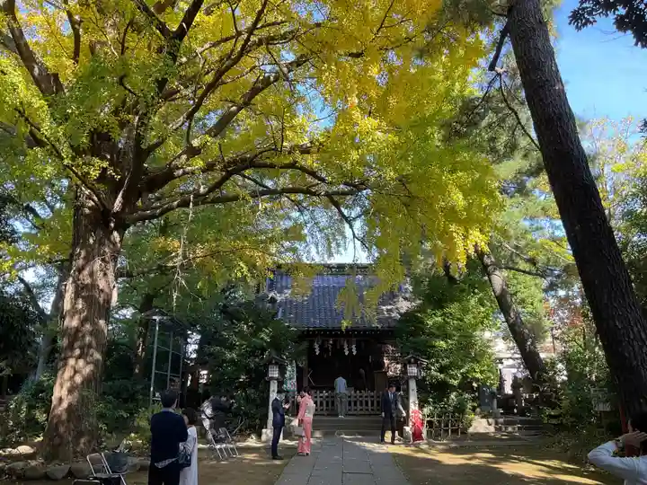 長崎神社(東京都)