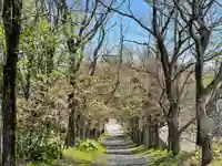 釧路一之宮 厳島神社の景色