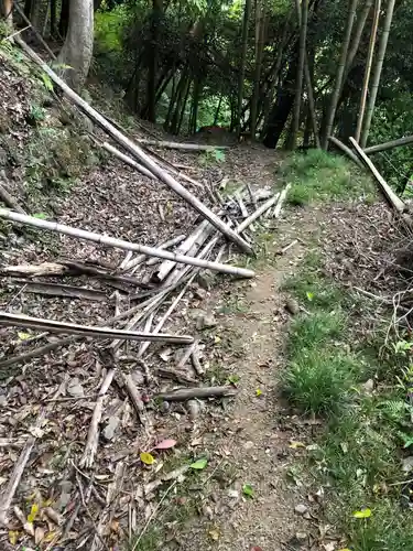 石井神社の自然