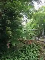 上野幌神社の自然