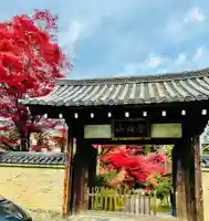 鹿王院の山門・神門