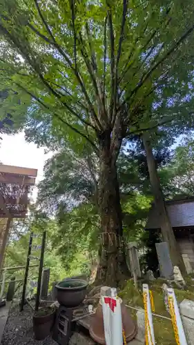 正法寺(滋賀県)