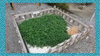 長良神社(群馬県)