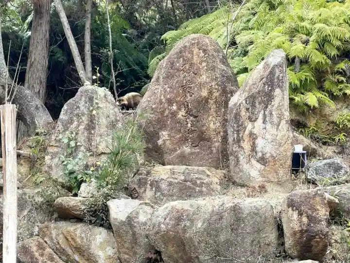 東光寺(出世不動明王)(滋賀県)