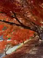 鶏足寺(滋賀県)