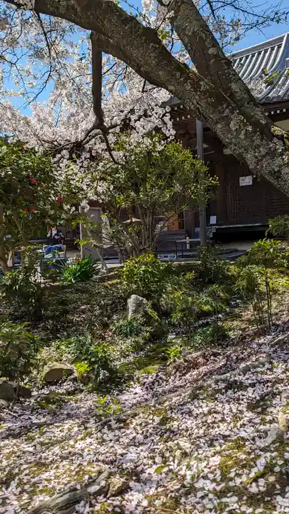 法金剛院(京都府)