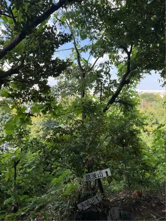 九重神社(埼玉県)
