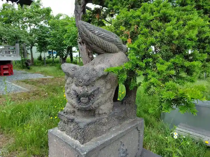 新篠津神社の狛犬
