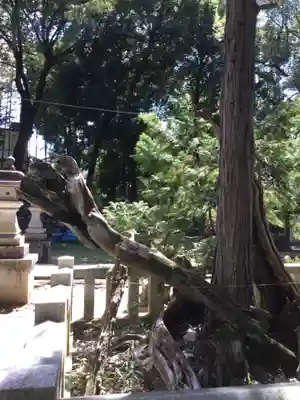 弓削神社(山梨県)