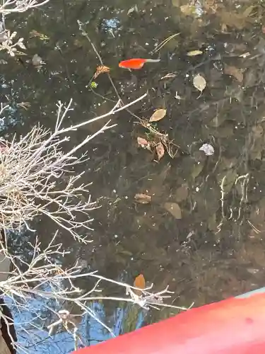 白石神社の{uncategorized: "未分類", other: "その他", undefined: "問題あり", building: "その他建物", grave: "お墓", sacred_gate: "鳥居", guardian: "狛犬", statue: "像", buddha: "仏像", history: "歴史", nature: "自然", garden: "庭園", animal: "動物", pagoda: "塔", temizu: "手水舎", mountain_gate: "山門・神門", sanctuary: "本殿・本堂", subordinate: "末社・摂社", art: "芸術", scenery: "景色", jizo: "地蔵", ema: "絵馬", goshuin: "御朱印", omikuji: "おみくじ", items: "授与品その他", amulet: "お守り", goshuincho: "御朱印帳", eats: "食事", festival: "お祭り", votive_dance: "神楽", shichigosan: "七五三参", wedding: "結婚式", experience: "体験その他", initially: "初詣", around: "周辺", anti_infection: "感染症対策"}