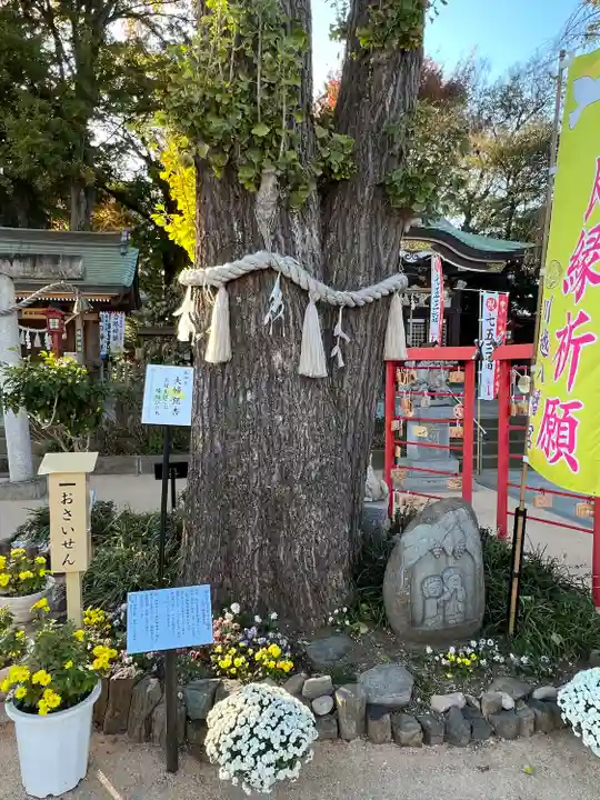 川越八幡宮(埼玉県)