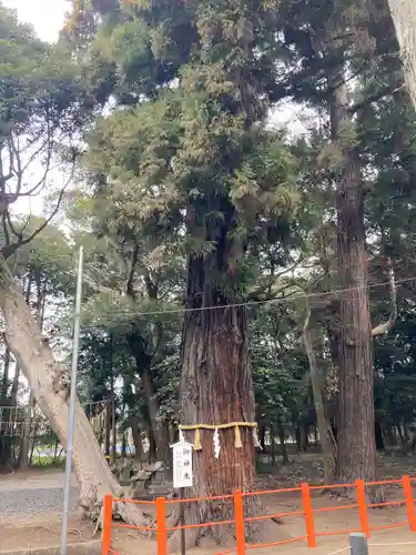 息栖神社(茨城県)