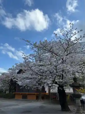 稲毛神社(神奈川県)