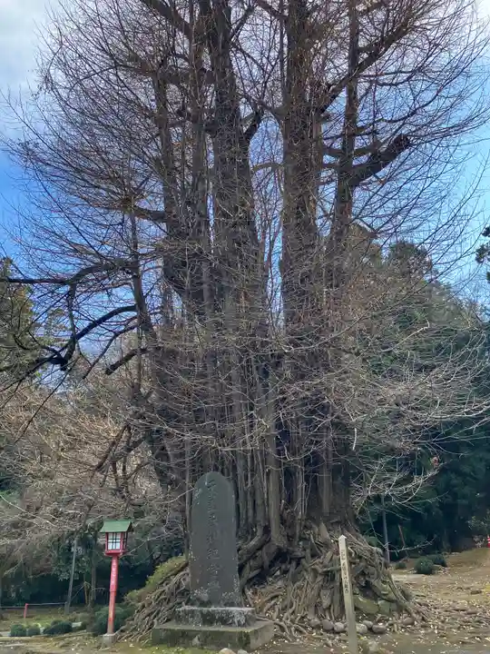 正法寺(埼玉県)