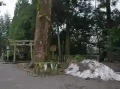 白山比咩神社の建物その他