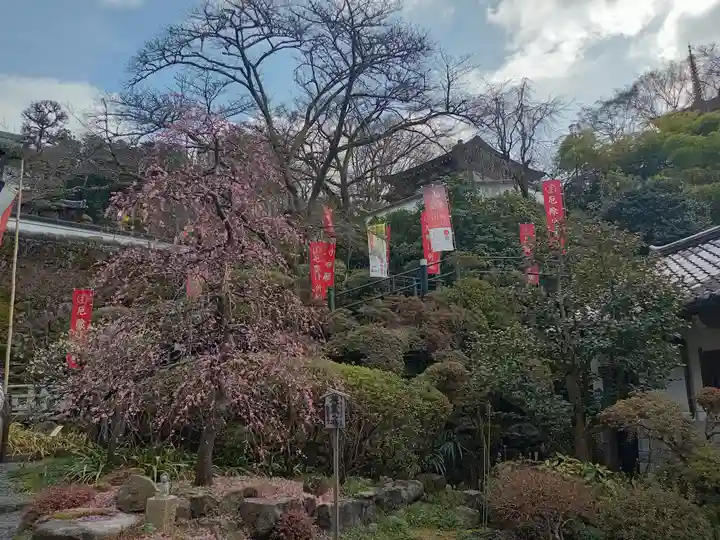 岡寺(龍蓋寺)(奈良県)