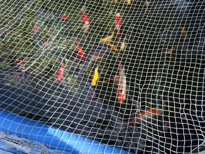 宝城坊(神奈川県)