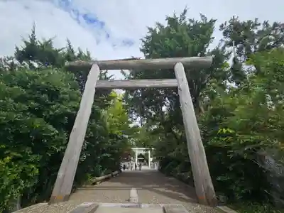 天津神明宮(千葉県)