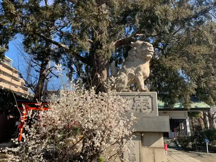 下神明天祖神社の狛犬