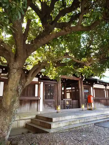 白金氷川神社の本殿・本堂