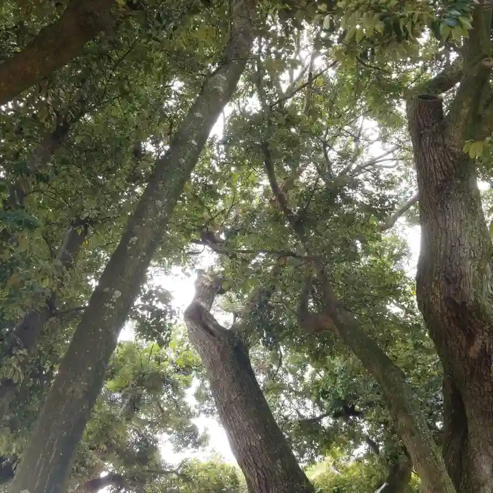 道路衢神の自然