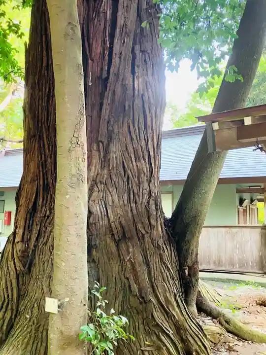 鴨鳥五所神社(茨城県)