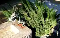 池田神社の手水舎