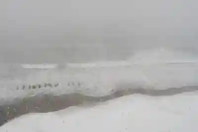 大森稲荷神社(北海道)