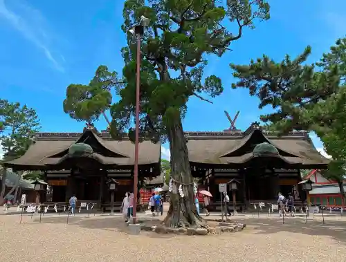 住吉大社の本殿