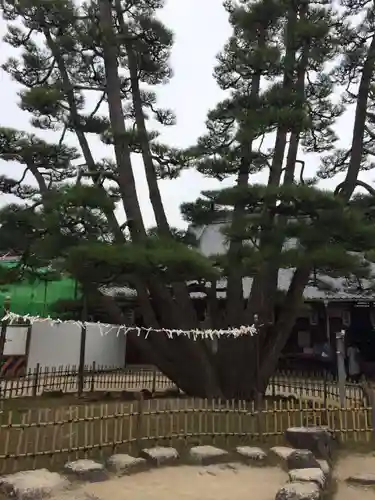 大願寺(広島県)