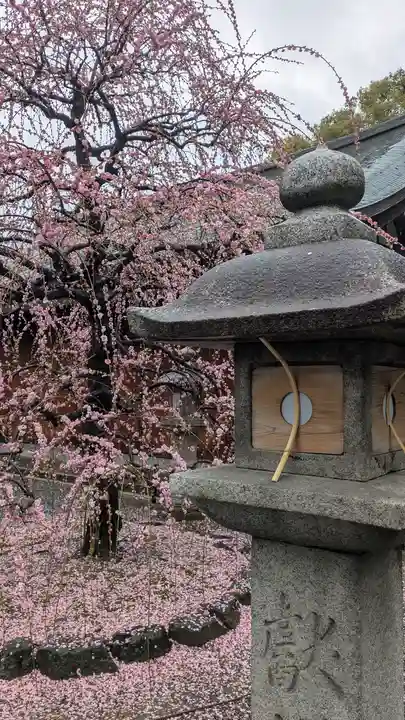 城南宮(京都府)