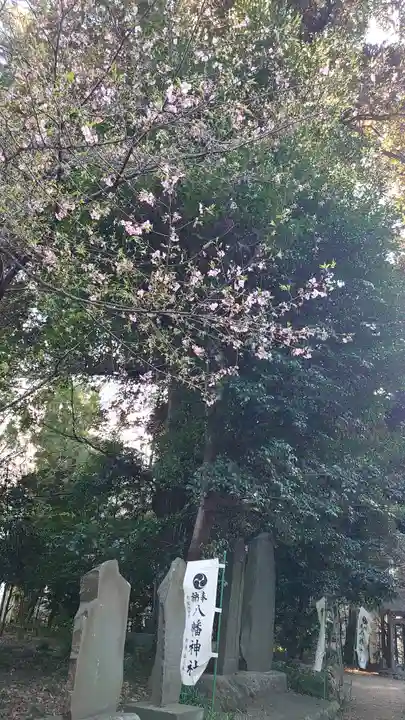 三ケ尻八幡神社の自然