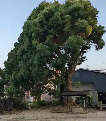神明社(愛知県)