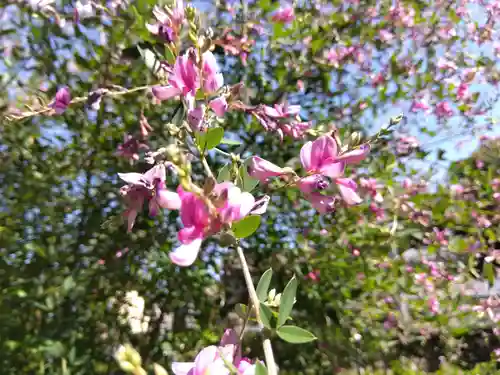 瑞源寺(福井県)