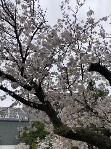 光明寺(神奈川県)