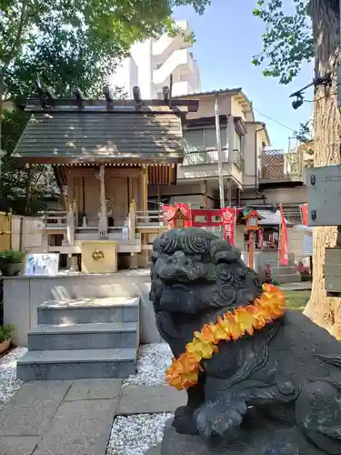 高円寺氷川神社の狛犬