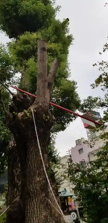 三輪神社(愛知県)