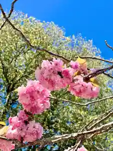 鹿島台神社(宮城県)(2024年04月25日(木) 10時14分18秒投稿)