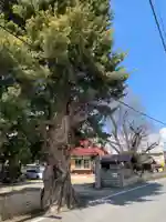 観音寺(千葉県)