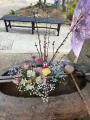 水堂須佐男神社(兵庫県)