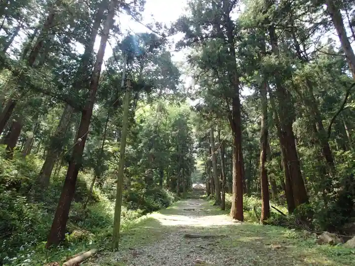 上一宮大粟神社の自然