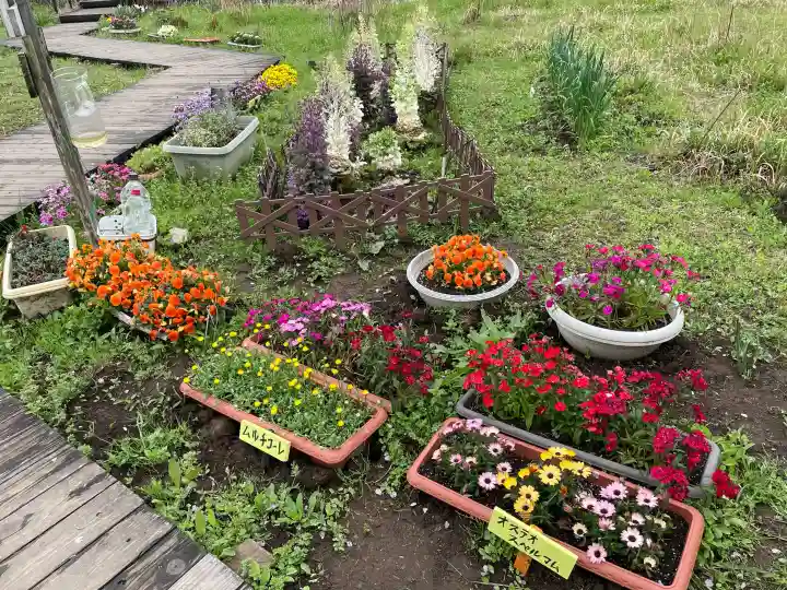 厳島神社 谷弁財天の{uncategorized: "未分類", other: "その他", undefined: "問題あり", building: "その他建物", grave: "お墓", sacred_gate: "鳥居", guardian: "狛犬", statue: "像", buddha: "仏像", history: "歴史", nature: "自然", garden: "庭園", animal: "動物", pagoda: "塔", temizu: "手水舎", mountain_gate: "山門・神門", sanctuary: "本殿・本堂", subordinate: "末社・摂社", art: "芸術", scenery: "景色", jizo: "地蔵", ema: "絵馬", goshuin: "御朱印", omikuji: "おみくじ", items: "授与品その他", amulet: "お守り", goshuincho: "御朱印帳", eats: "食事", festival: "お祭り", votive_dance: "神楽", shichigosan: "七五三参", wedding: "結婚式", experience: "体験その他", initially: "初詣", around: "周辺", anti_infection: "感染症対策"}