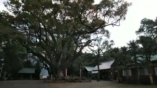 伊曽乃神社のその他建物