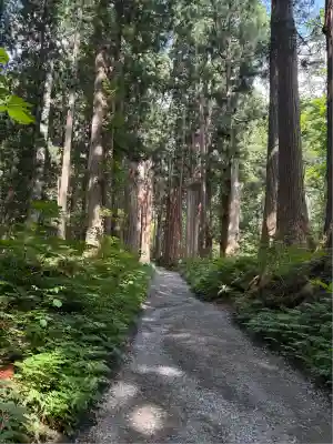 戸隠神社奥社(長野県)