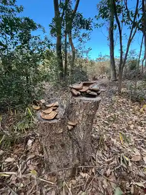 天満神社(兵庫県)