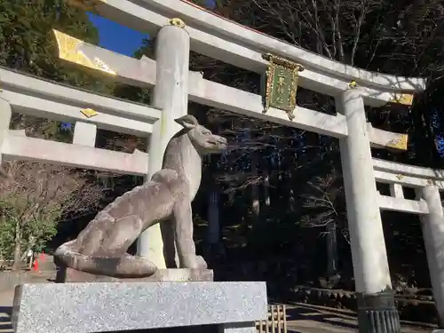 三峯神社の狛犬