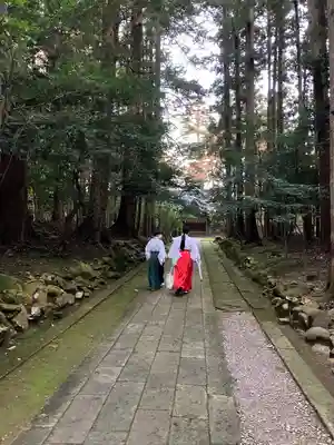 彌彦神社のその他建物