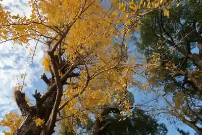 東福寺(滋賀県)